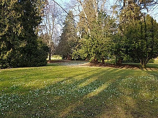 Badestelle Lindenhofpark in Lindau am Bodensee