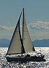 Bodensee Segelschulen